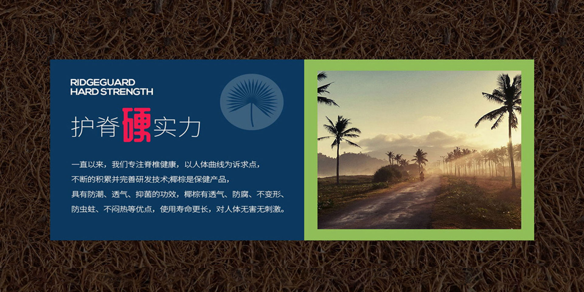 91视频污下载
